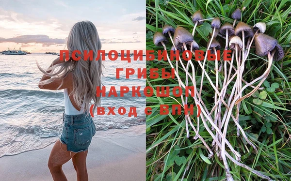 метадон Мегион