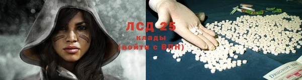 PSILOCYBIN Магас