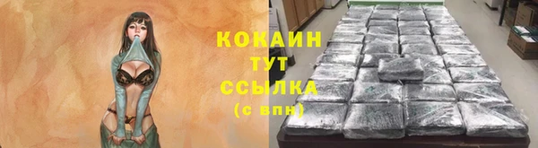 шишки Медвежьегорск