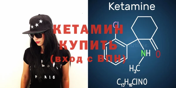 шишки Медвежьегорск