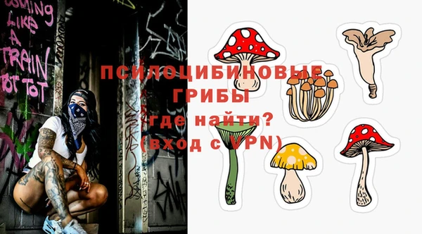 шишки Медвежьегорск