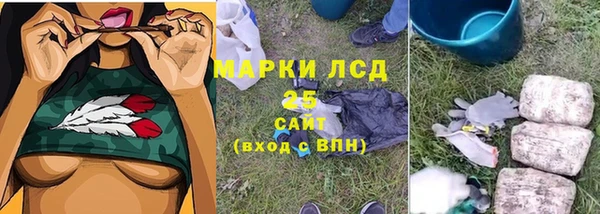 крисы Медногорск