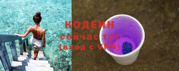 шишки Медвежьегорск