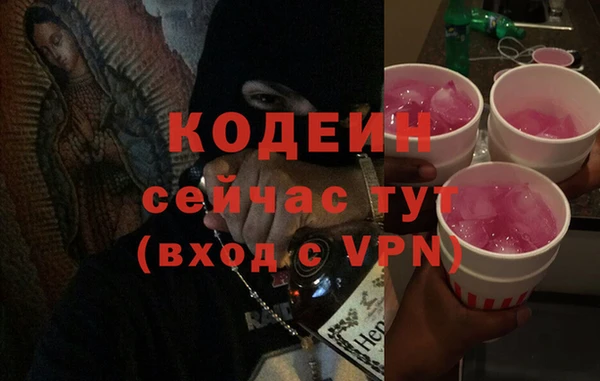 PSILOCYBIN Майский