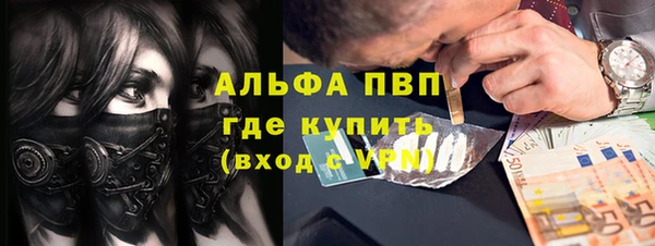 PSILOCYBIN Магас