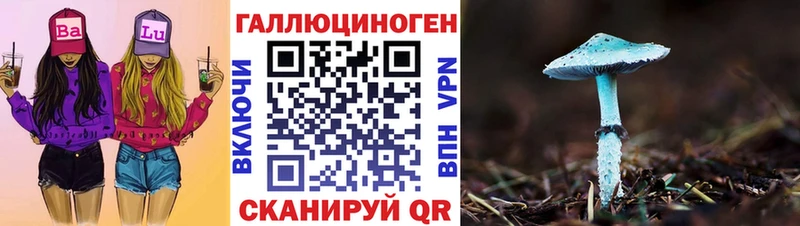 Купить где  Калуга  Псилоцибиновые грибы GOLDEN TEACHER 